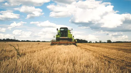 Adio grânarul Europei. Cum a ajuns o rușine agricultura românească din „vedeta economiei”