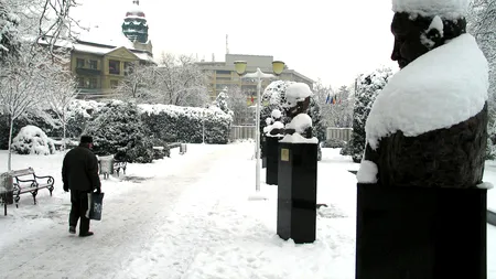 RO-Alert! Stați în case, evitați deplasările! ANM a emis mai multe coduri nowcasting de Cod portocaliu de vânt puternic