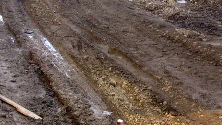 Oprescu: Spre sfârșitul lui 2015 ar trebui să nu mai fie străzi de pământ