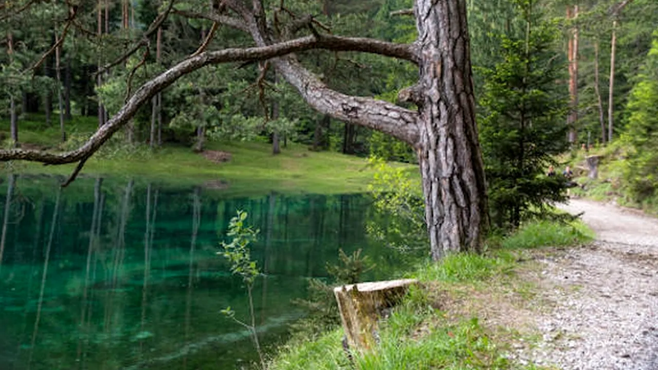 Transformarea uluitoare a acestui parc, pe timpul verii