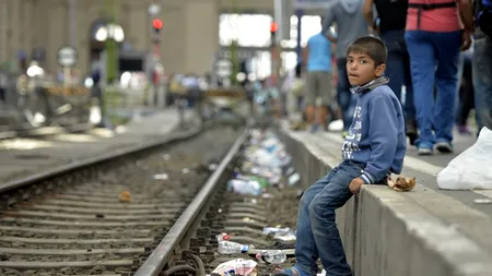 Mecanicii trenurilor care traversează Eurotunelul, șocați de numărul imigranților morți. 