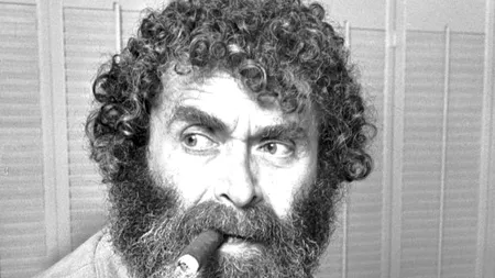 Scenaristul miniseriei TV 