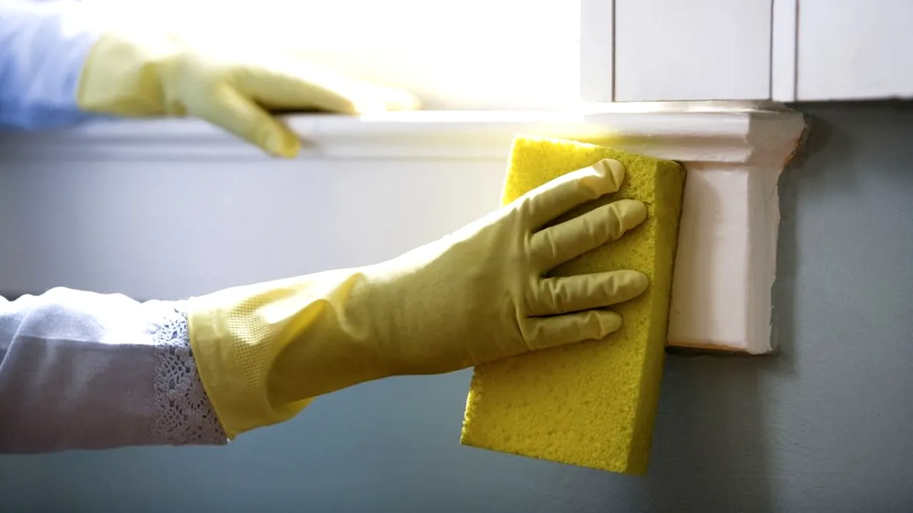 A apărut o nouă meserie - prestatorul casnic. Ce presupune cel mai nou JOB de pe piața muncii