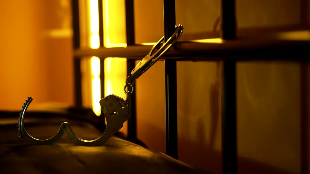 Suedia propune MUTAREA unor deținuți în străinătate, din cauza creșterii ratei infracționalității în țară