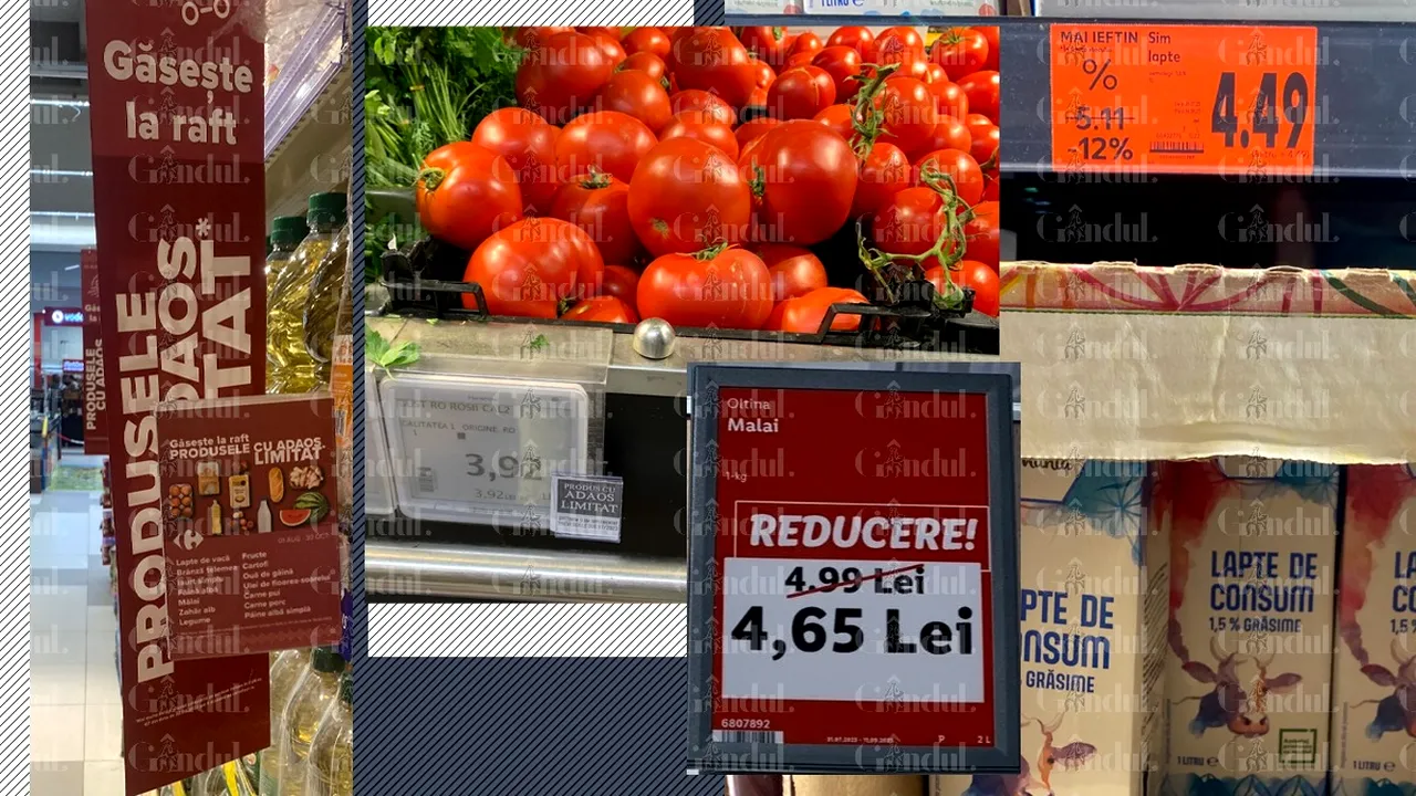 FOTO | Cât costă să umpli coșul de cumpărături cu alimentele care s-au ieftinit după plafonarea adaosului. Prețurile diferă de la un magazin la altul