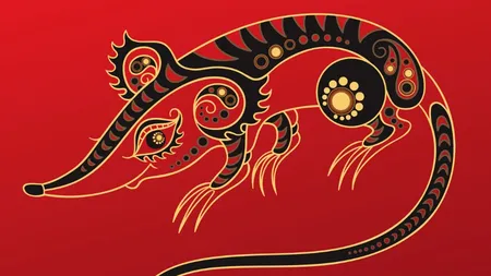 Horoscop chinezesc 2020 | Ce ne așteaptă în Anul Șobolanului de Metal 
