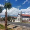 <span style='background-color: #dd9933; color: #fff; ' class='highlight text-uppercase'>ACTUALITATE</span> Transformare exotică într-un orășel din România. PALMIERI plantați pe străzi ca-n Tenerife