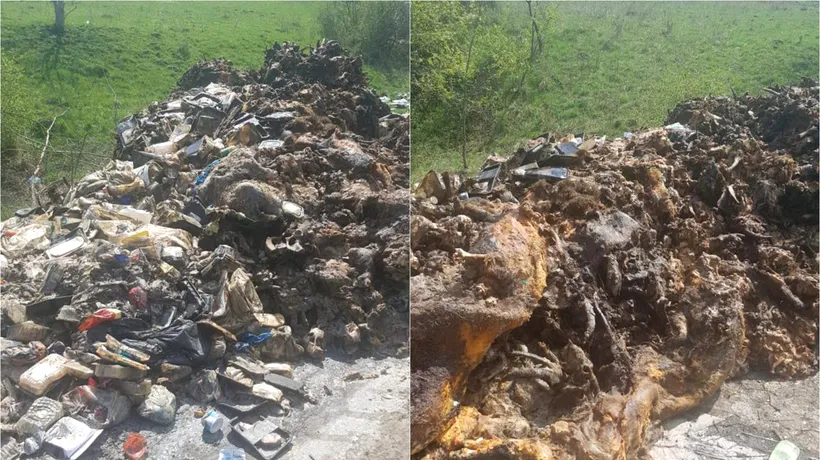 Descoperire șocantă în Mureș: Două tone de resturi de animale în putrefacție, găsite pe marginea unui drum