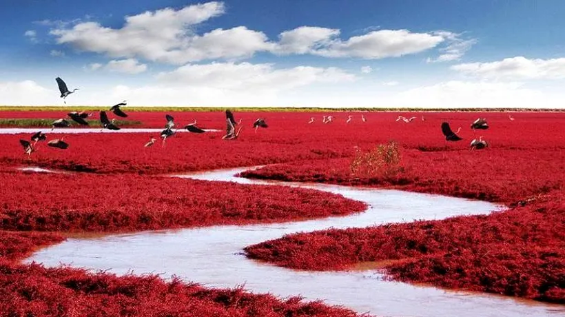 GALERIE FOTO: Plaja roșie, destinația de toamnă a iubitorilor de natură