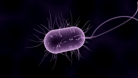 Vestea momentului în sănătate: România, scoasă de pe lista țărilor infectate!