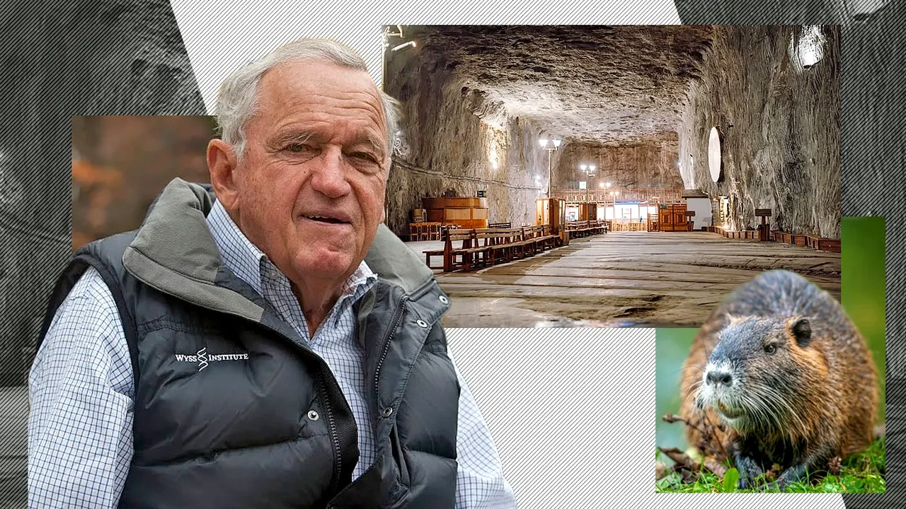 Fața nevăzută a dezastrului de la PRAID. Cine este miliardarul implicat în aducerea castorilor care au blocat lucrările pentru devierea pârâului Corund