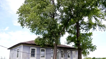 Ce se întâmplă astăzi în conacul copilăriei din 