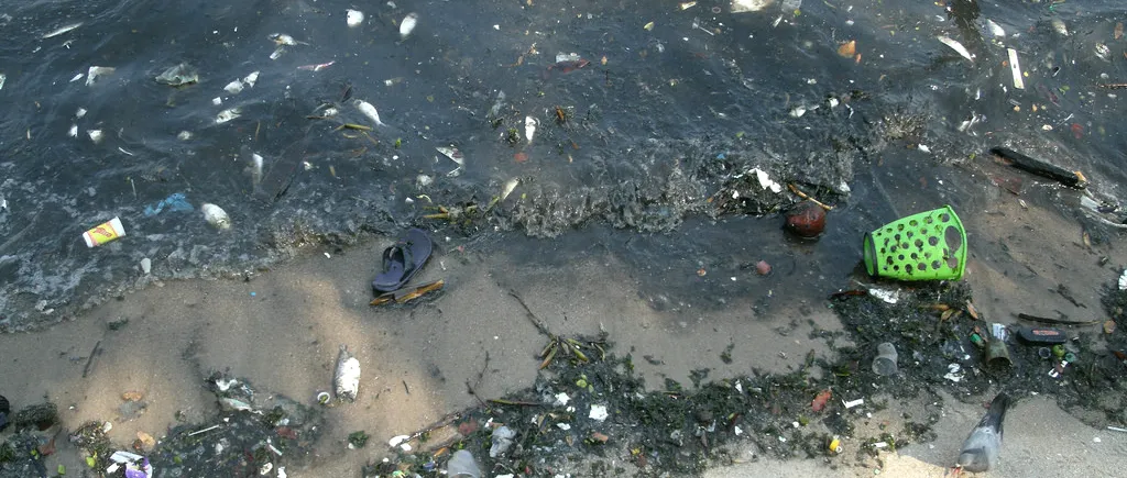 Cât de mare este pericolul apelor contaminate din Rio de Janeiro. Ce pățesc înotătorii și cei care înghit apă?