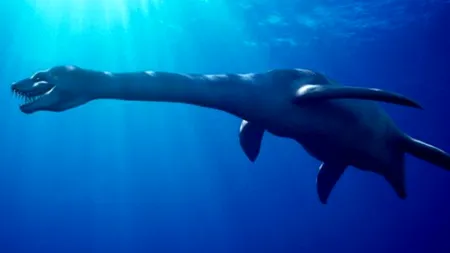 O nouă specie de reptilă marină, identificată pe baza unor oseminte vechi de 70 milioane de ani, în Rusia