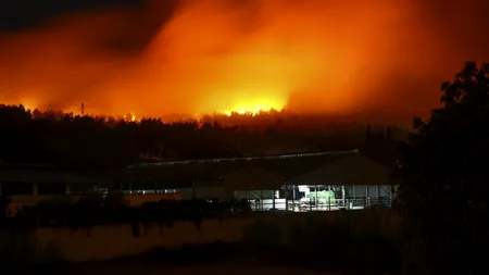 Antalya și Izmir, grav afectate de INCENDIILE din Turcia. Treisprezece persoane și-au pierdut viața