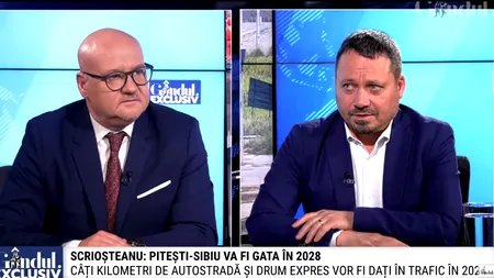 Ionel Scrioșteanu: