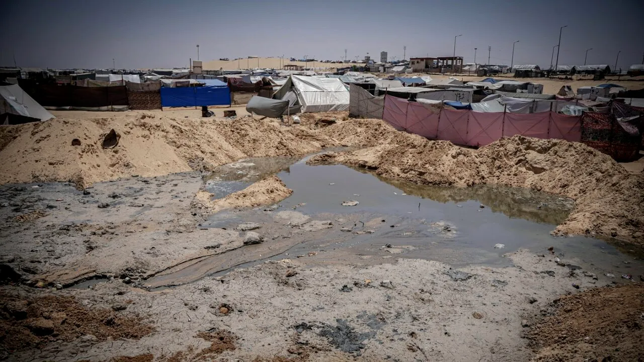 Egiptul organizează o nouă reuniune, în eforturile pentru ARMISTIȚIU în Gaza /Israelul a dat ultimatum grupului Hamas