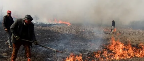 Un puternic incendiu de pădure a izbucnit la Suceava. Patru sute de persoane au intervenit să îl stingă 