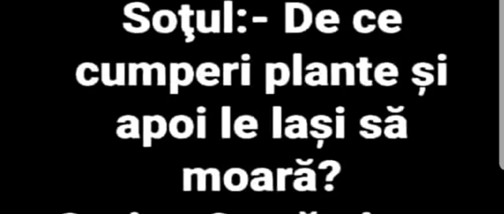 BANCUL zilei | Soțul către soție: „De ce cumperi plante și apoi le lași să moară?