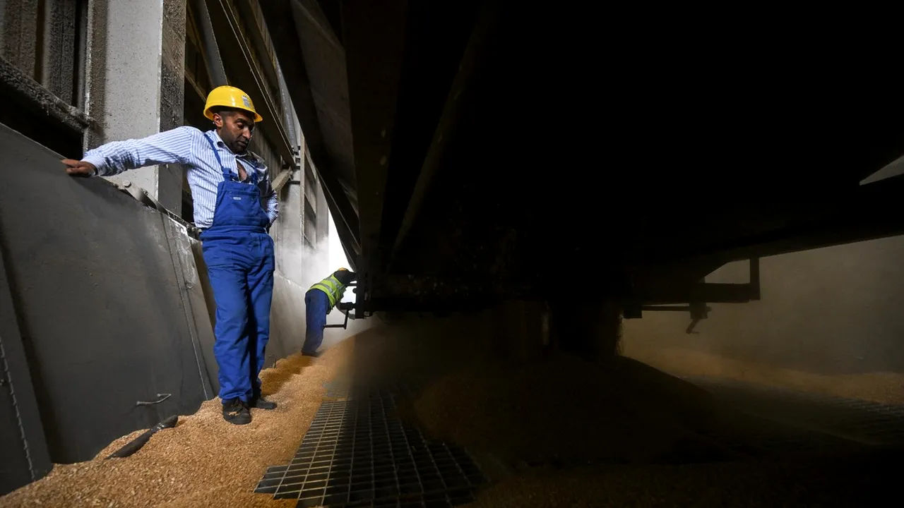 Polonia, Ungaria și Slovacia anunță că vor menține RESTRICȚIILE privind importurile de produse agricole din Ucraina