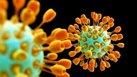 Chinezii nu se lasă: au creat un nou virus mai periculos decât cel din pandemie. SADS-CoV se poate răspândi de 10.000 de ori mai rapid