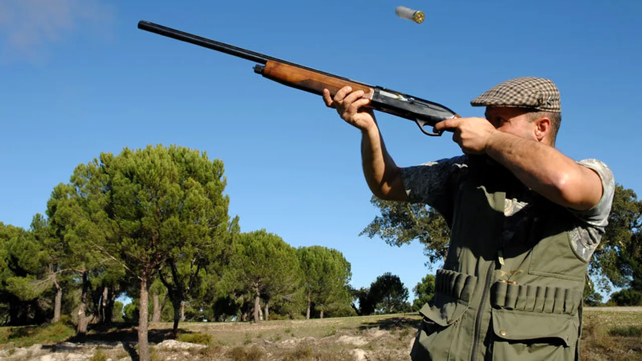 Trei bărbați, reținuți după ce au vânat ilegal urși bruni. Ce au găsit polițiștii la percheziții