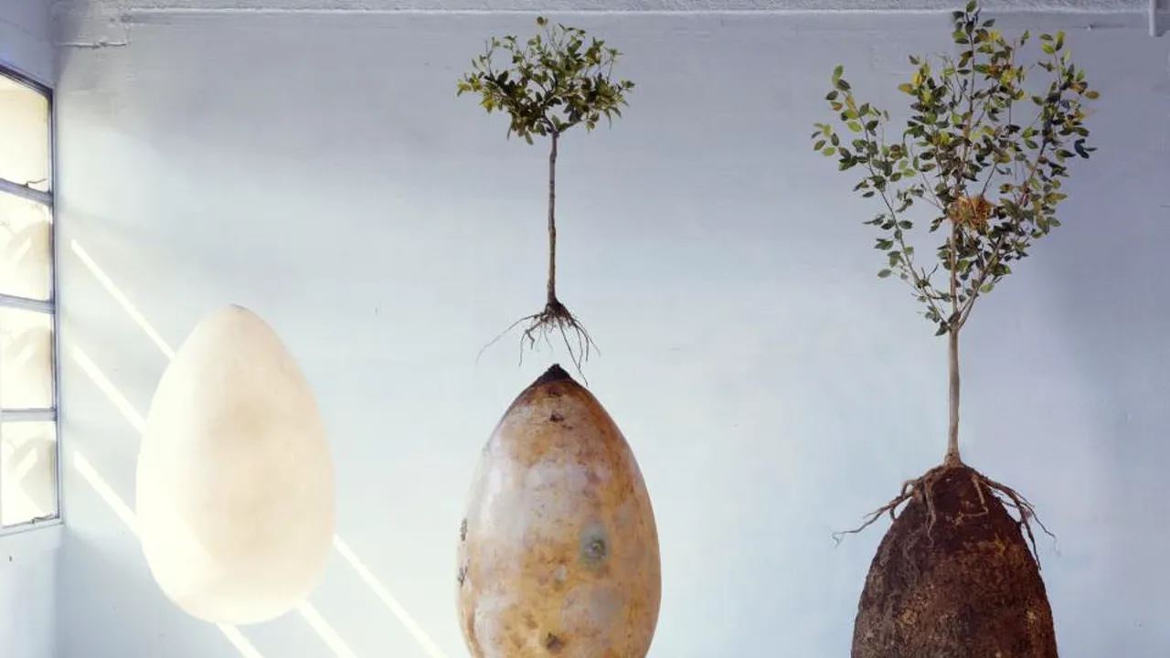 „Sicriele organice