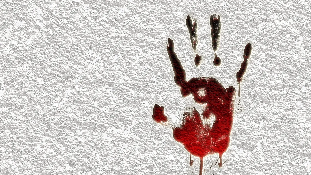 Card de memorie cu înregistrările unei crime, găsit întâmplător pe stradă: „Trebuie să mori!