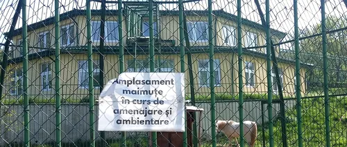 Orașul din România unde s-a cheltuit o jumătate de milion de euro pentru un adăpost de lux pentru maimuțe, animale care însă NU există la Grădina ZOO din localitate