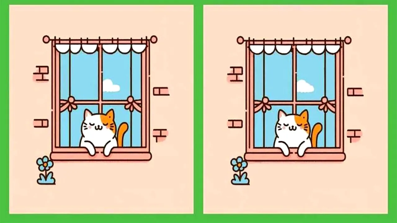 Test de inteligență | Găsiți 3 diferențe între cele două pisici din imagine, în maximum 17 secunde!