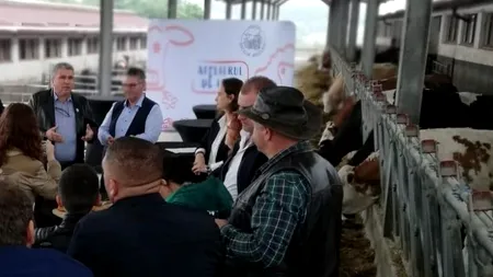 Frăția Bacilor Ardeleni: Cinci fermieri o asociație s-au înfrățit să facă brânză artizanală