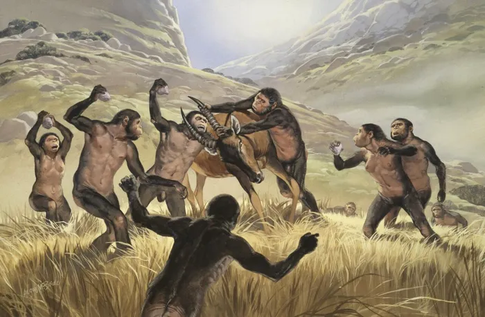Varianta 1. Homo habilis, fiind mai inteligent și mai evoluat, a învățat să cioplească arme din piatră pentru vânătoare. Pentru a dobândi toate sursele de hrană, ei i-ar fi ucis pe australopiteci până la ultimul. Sursa Foto: Profimedia