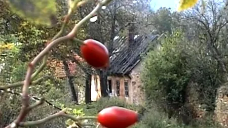 Cum arată satul fantomă din Banat. Era locuit exclusiv de nemți