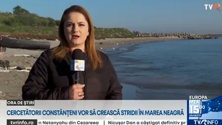 Stridii japoneze, plantate în Marea Neagră, pentru prima dată. Care este scopul proiectului
