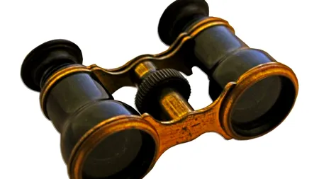 Cui i-a aparținut acest obiect scos la licitație la Los Angeles