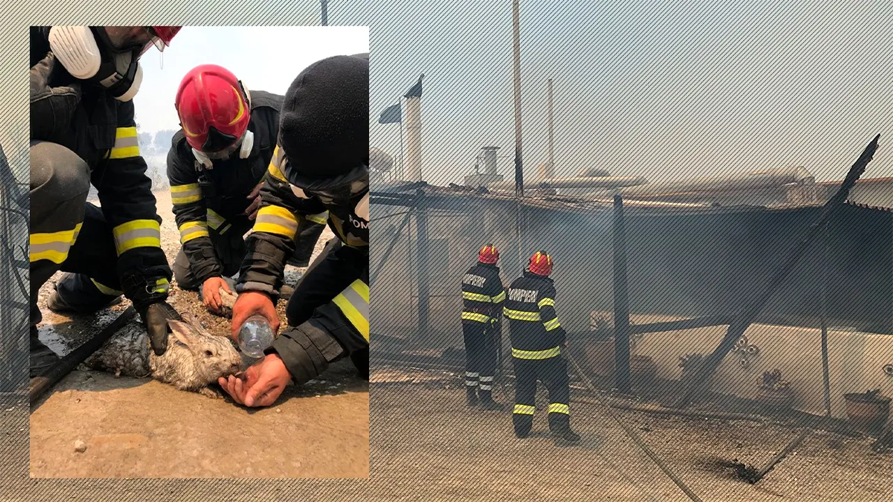 FOTO | Pompierii români au început misiunea de stingere a incendiilor de vegetație în insula Rodos