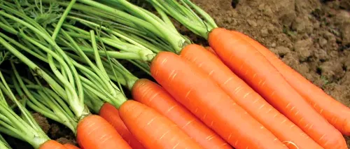 7 beneficii ale morcovilor