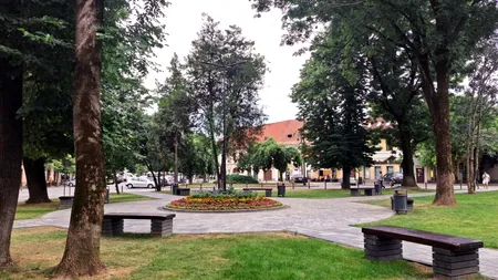 Primăria din Bistrița caută ZILIERI care să se ocupe de spațiile verzi. Cât este plătit un muncitor