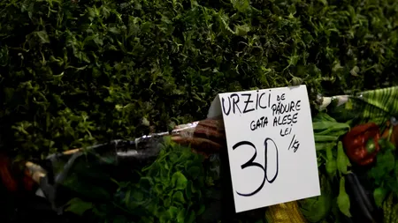 Planta care schimbă sângele şi reduce riscul de AVC. La ce preț se vinde un kilogram de URZICI în piață
