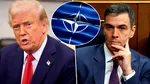 Reuters: Într-o notă a Pentagonului se discută suspendarea Spaniei din NATO. Cum vrea Trump să „pedepsească“ aliații care nu l-au ajutat în Iran