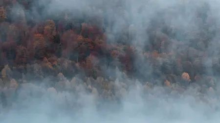 ANM: Avertizări meteo de ceață densă și polei. Care sunt zonele vizate