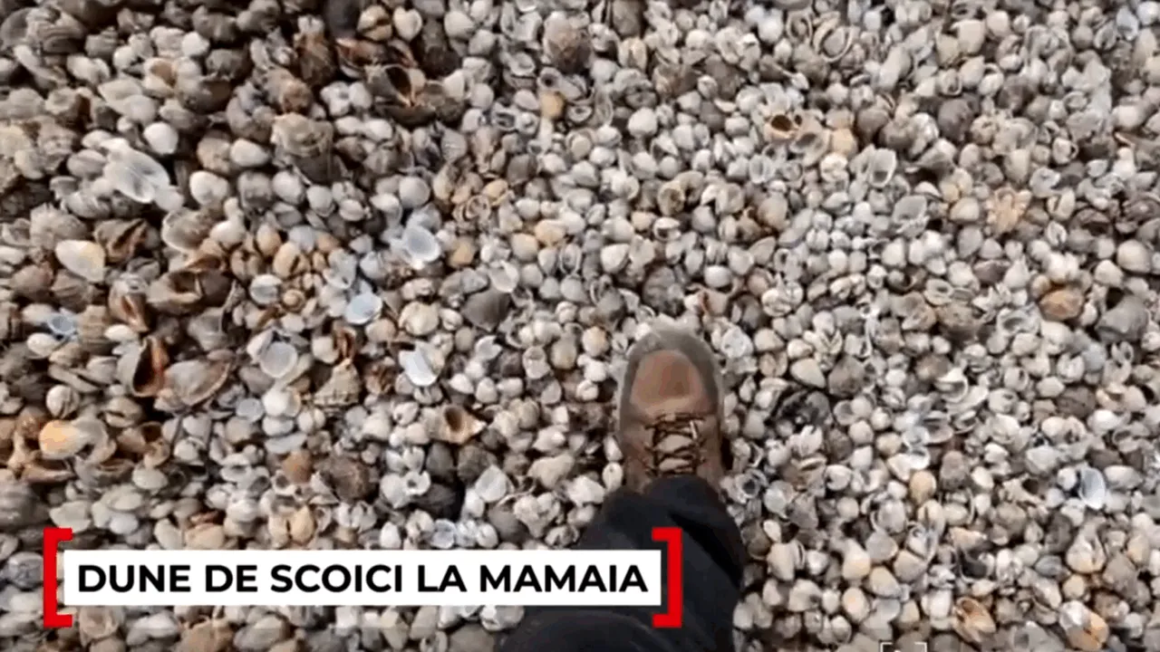 Fenomen bizar la Marea Neagră, care nu s-a mai petrecut de zece ani. Cum arată acum plajele din Mamaia după o furtună care a schimbat complet peisajul