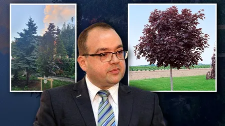 Cum s-a sucit Naumescu de când a ajuns consilierul lui Nicușor Dan, în evaluarea președintelui SUA. De la “incultul” de Trump, la Premiul Nobel, acum își plantează brusc și un arțar american în curtea casei