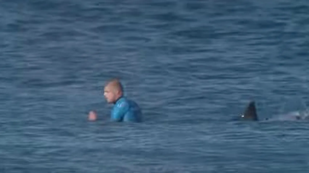 Cum a reușit un surfer să evite în ultimul moment să fie atacat de un rechin. VIDEO