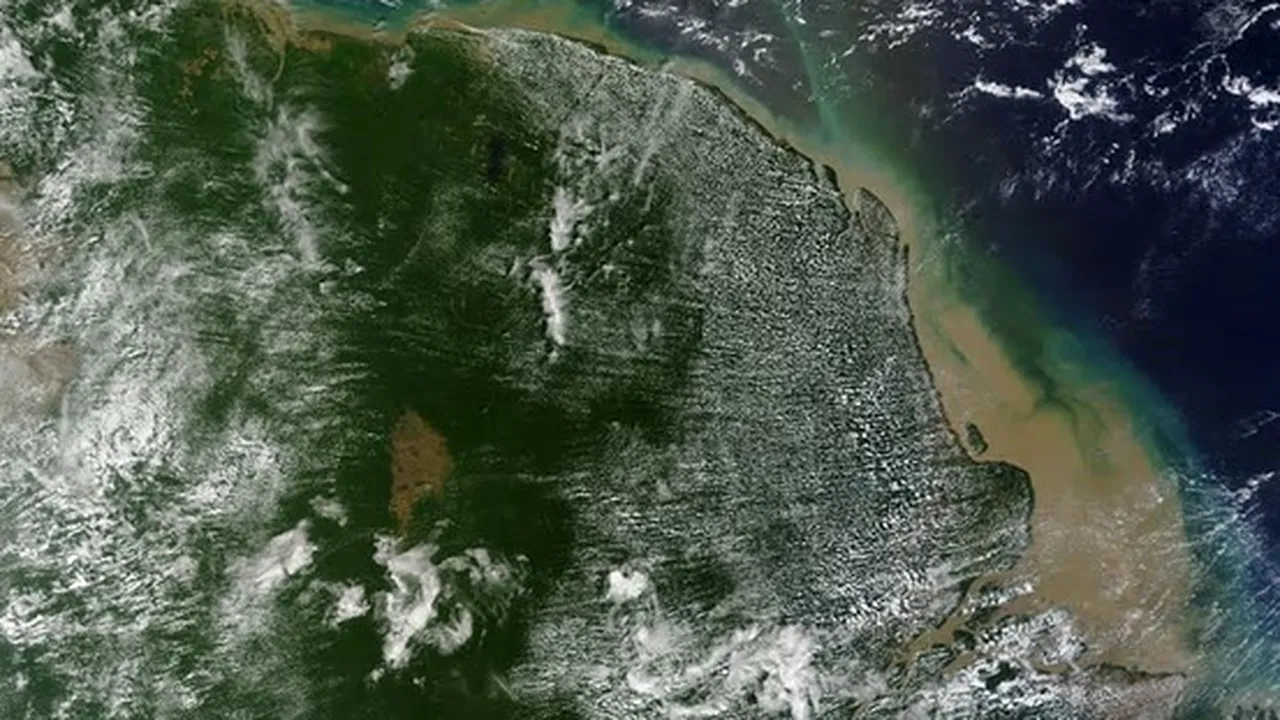 Barieră imensă de corali, descoperită sub apele murdare ale Amazonului