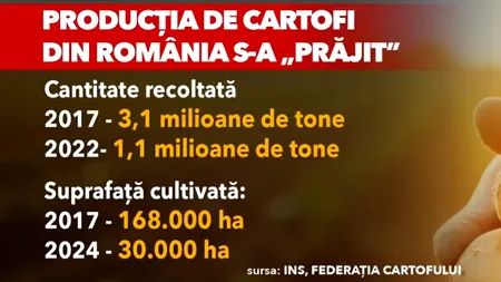 Cartofii, alimentul de bază al românilor, s-a SCUMPIT cu 12% în 6 luni, din cauza importurilor. România, puternic afectată de secetă
