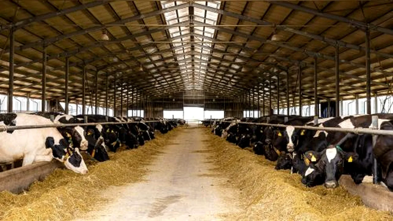 China deschide larg uşa produselor lactate din România. Producătorii români vor avea acces la o piaţă de 70 de miliarde de dolari