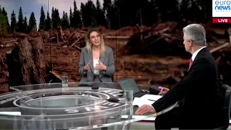 Diana Buzoianu povestește cum se poate păcăli sistemul Sumal de către hoții de lemne din România