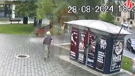 Un tei bătrân din Piața Unirii din Iași s-a prăbușit ziua, în amiaza mare. Un bărbat a scăpat nevătămat în mod miraculos / Momentul a fost filmat