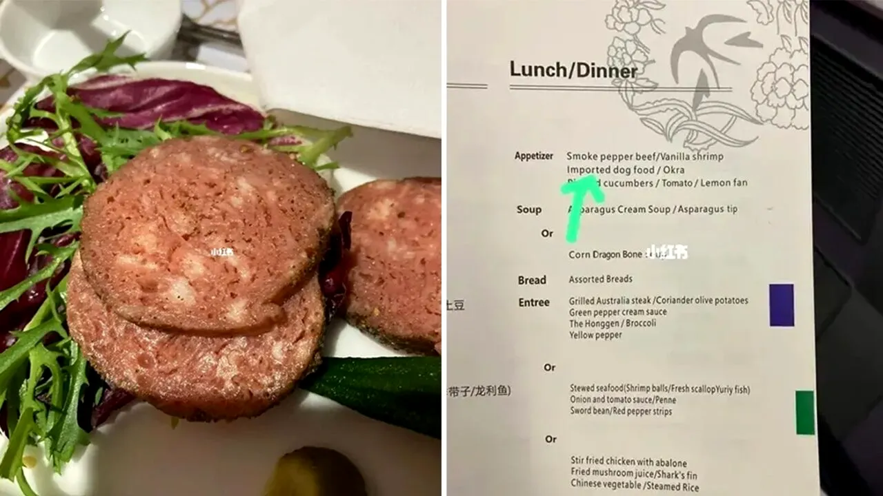 PASAGERII unei curse aviatice din China, serviți cu mâncare pentru... câini!